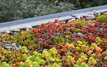 the cost of Old Wimpole green roof installation