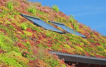 Old Wimpole living roof systems